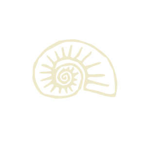 Allen F. Morgenstern